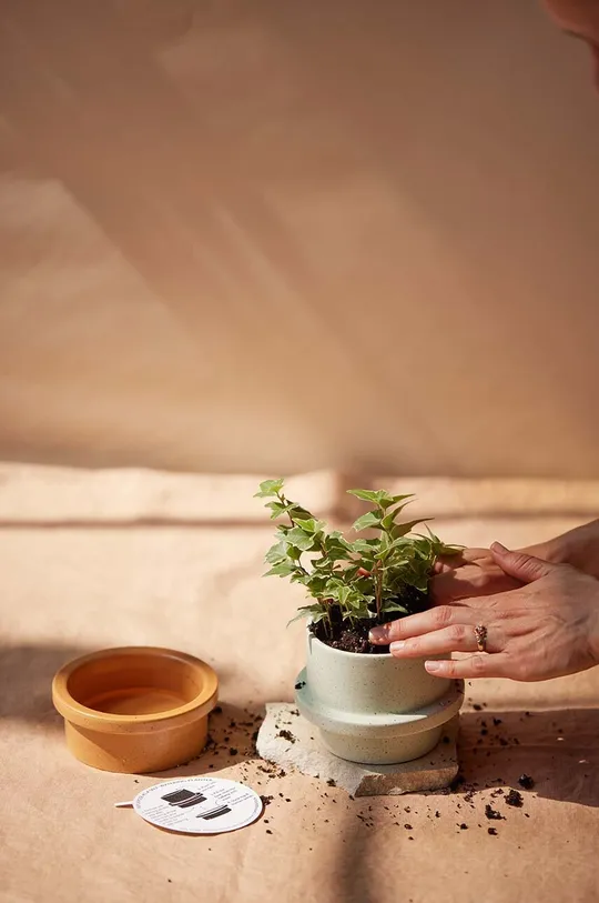 zelená Voňavá sójová sviečka Paddywax Salt & Sage 326 g