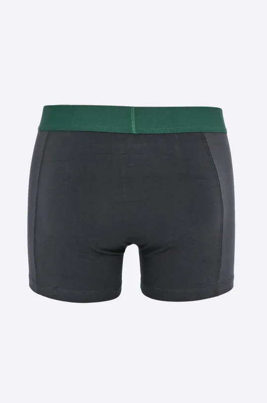 πράσινο Puma - Μποξεράκια Puma Placed logo boxer 2p green (2-pack)