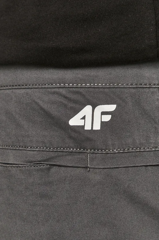 szary 4F - Spodnie