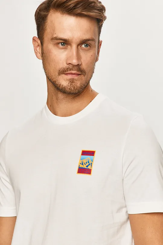 biały adidas Originals - T-shirt GP1117 Męski