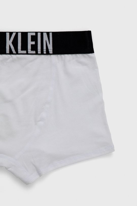 Calvin Klein Underwear Bokserki dziecięce (2-pack) Chłopięcy