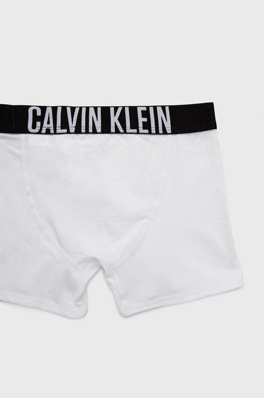 Calvin Klein Underwear Bokserki dziecięce (2-pack) Chłopięcy