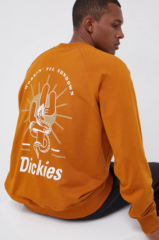 коричневий Бавовняна кофта Dickies Чоловічий