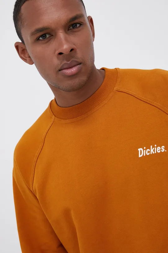καφέ Βαμβακερή μπλούζα Dickies