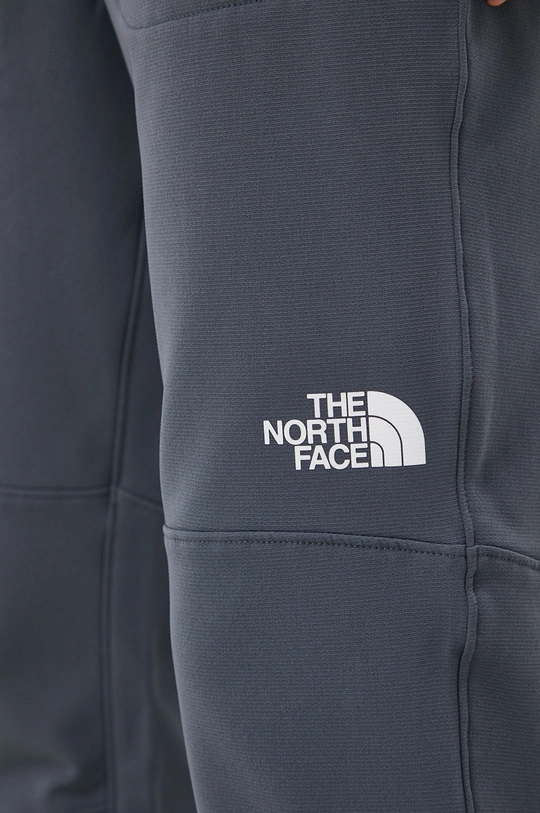 сірий Штани The North Face