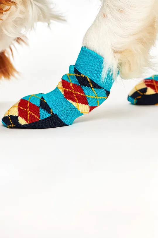 Happy Socks skarpetki dla psa Argyle multicolor