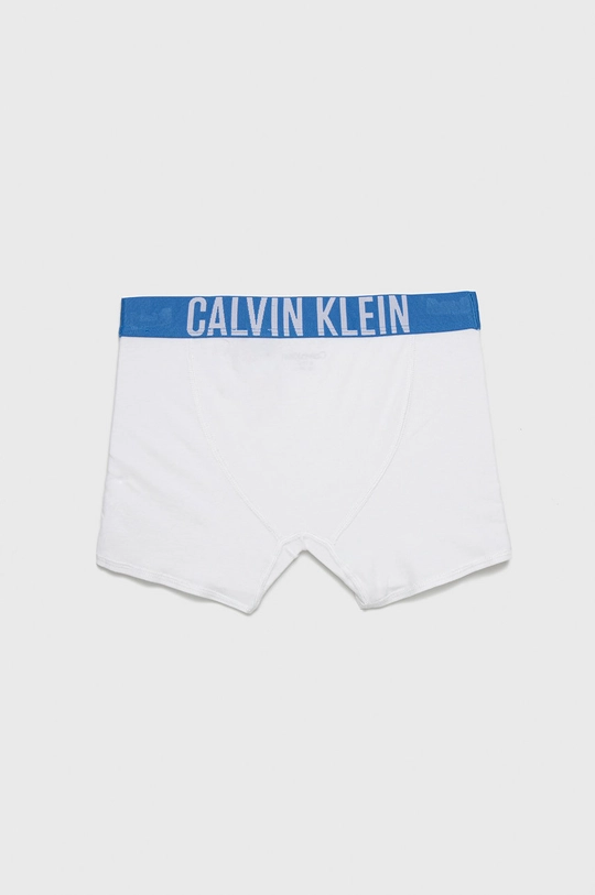 Dječje bokserice Calvin Klein Underwear 2-pack Za dječake