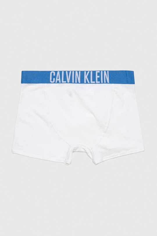 Παιδικά μποξεράκια Calvin Klein Underwear 2-pack Για αγόρια