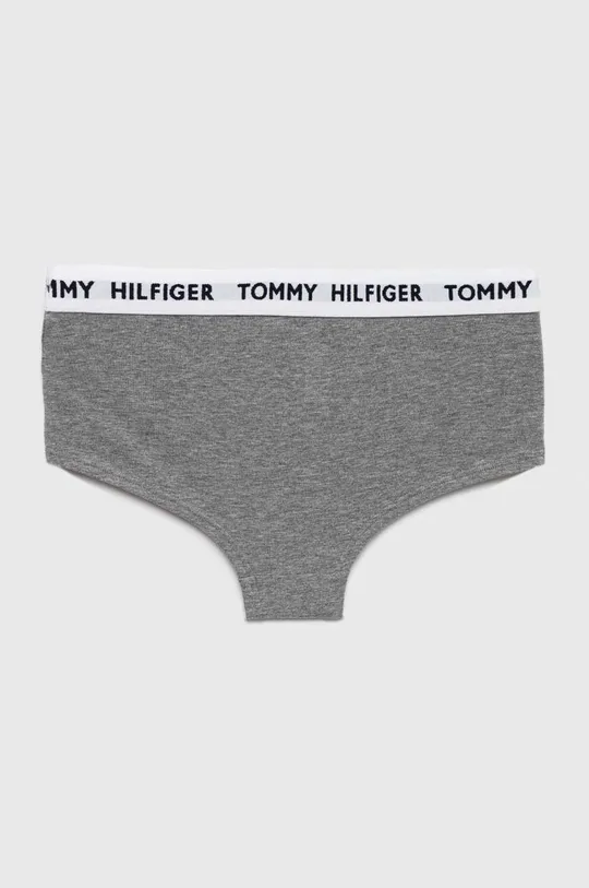 Otroške spodnje hlače Tommy Hilfiger 2-pack