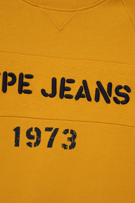 Detská bavlnená mikina Pepe Jeans  100% Bavlna