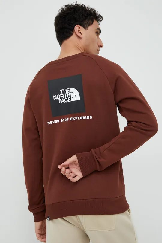 καφέ Βαμβακερή μπλούζα The North Face Ανδρικά