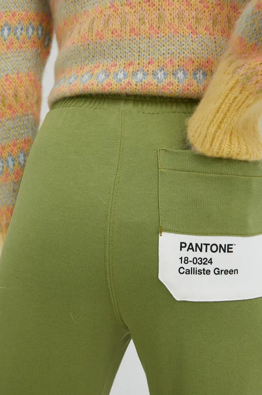 zelená Bavlnené tepláky United Colors of Benetton X Pantone