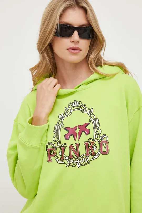zelena Bombažen pulover Pinko Ženski
