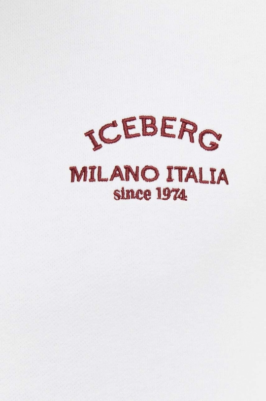 Кофта Iceberg Чоловічий