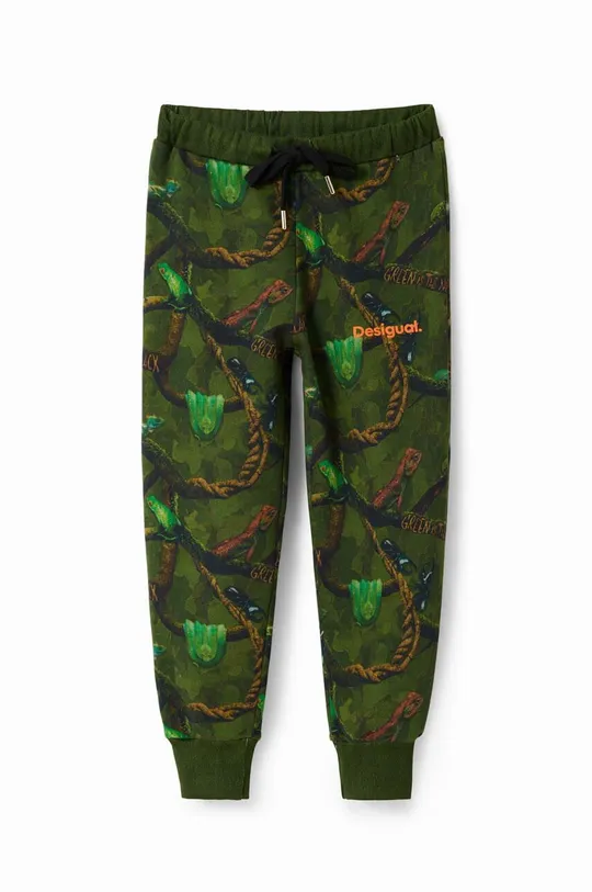 зелёный Детские спортивные штаны Desigual Для мальчиков