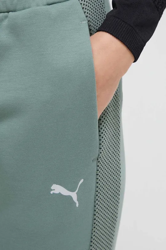 зелёный Тренировочные брюки Puma Evostripe