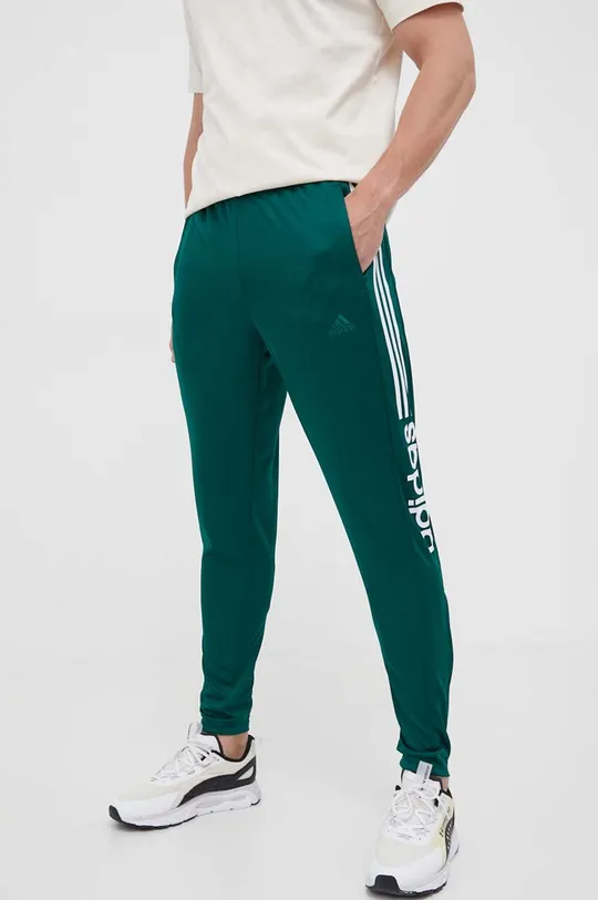 zielony adidas spodnie dresowe Męski