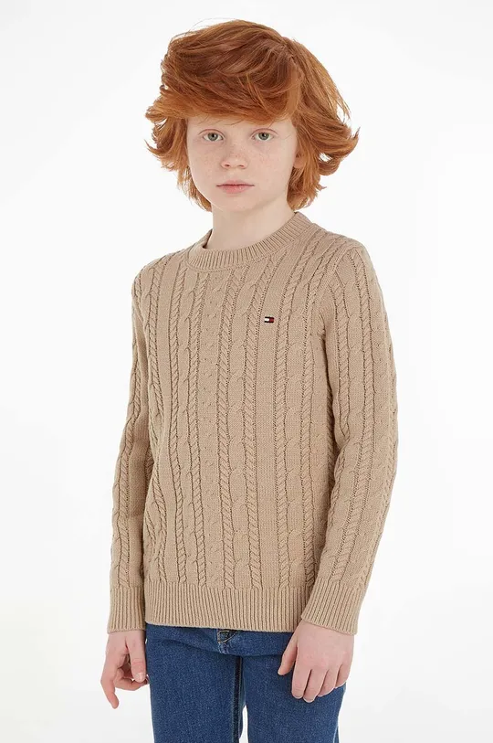 бежевый Детский свитер Tommy Hilfiger Для мальчиков