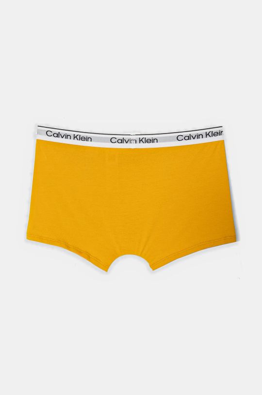 Calvin Klein Underwear bokserki dziecięce 2-pack B70B700490.9BYH żółty