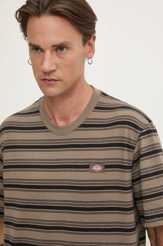 Dickies t-shirt in cotone STEVENSVILLE DK0A8642 marrone AW24