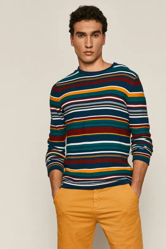multicolor Sweter męski w paski Męski