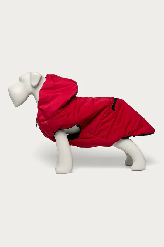 червоний Medicine - Куртка для собаки Midnight Queen Жіночий