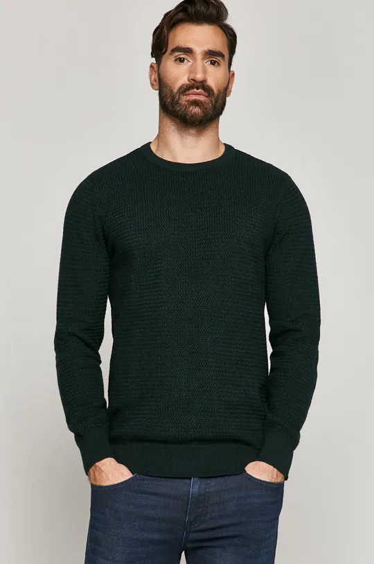 turkusowy Sweter męski bawełniany zielony Męski
