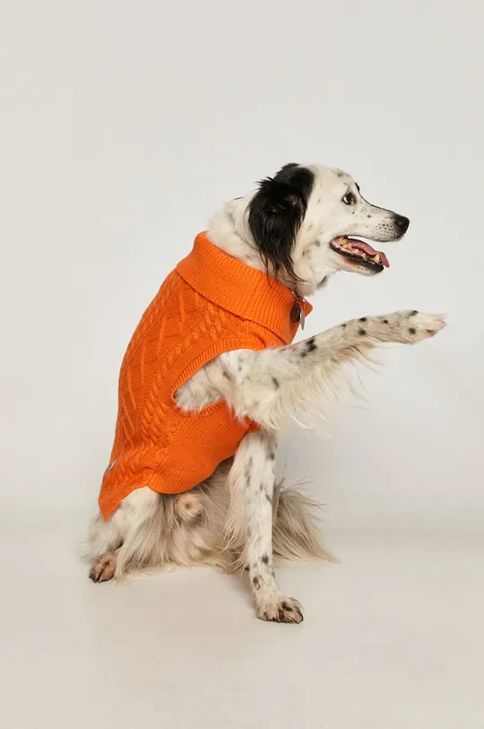 Medicine - Sweter dla psa Midnight Queen pomarańczowy
