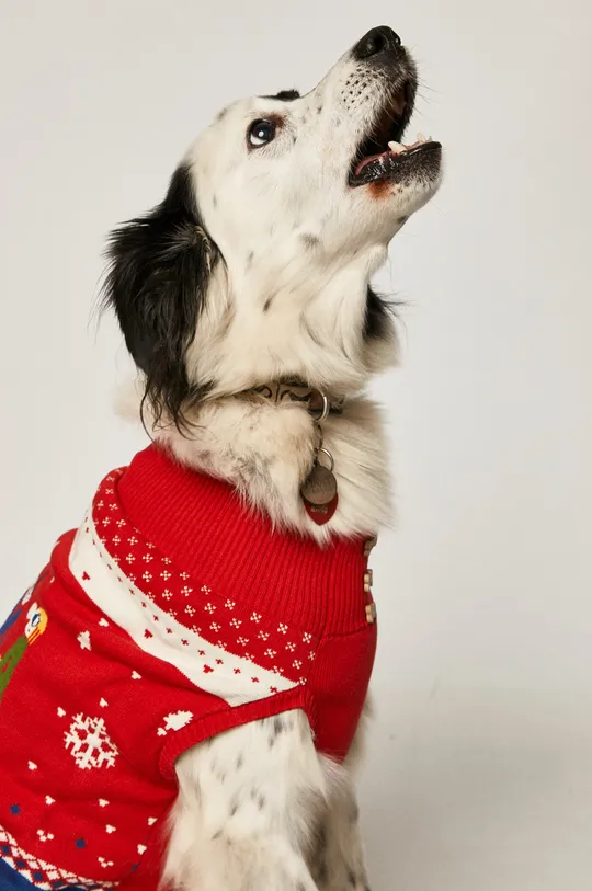 Medicine - Sweter dla psa X-mass by Patryk Mogilnicki multicolor