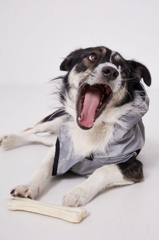 Bunda pre psa dámska Essential  Podšívka: 100% Polyester Základná látka: 100% Polyester