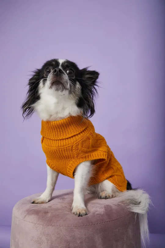 Medicine - Sweter dla psa Commercial Damski