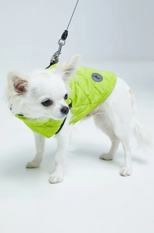 зелений Куртка для собаки Medicine Жіночий