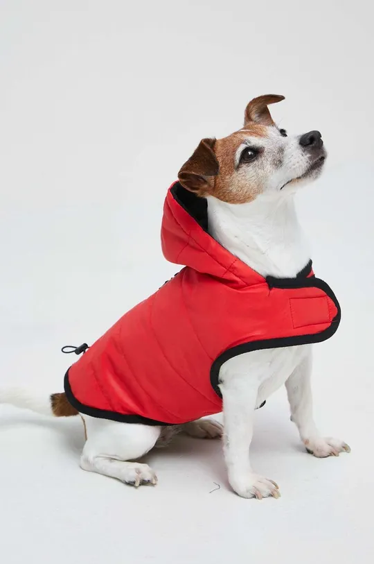 червоний Куртка для собаки Medicine Unisex