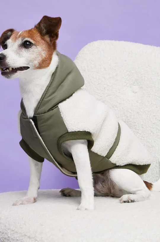 зелений Куртка для собаки Medicine