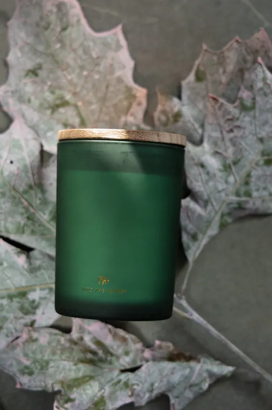 Αρωματικό κερί σόγιας Medicine πράσινο