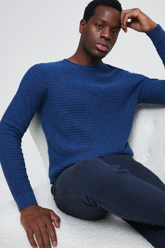 niebieski Sweter męski z fakturą kolor niebieski Męski