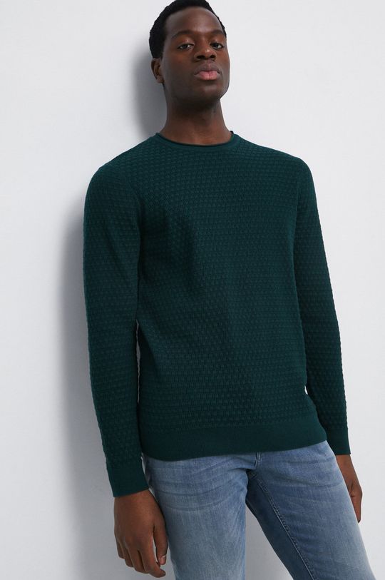 ciemny zielony Sweter męski z fakturą kolor zielony