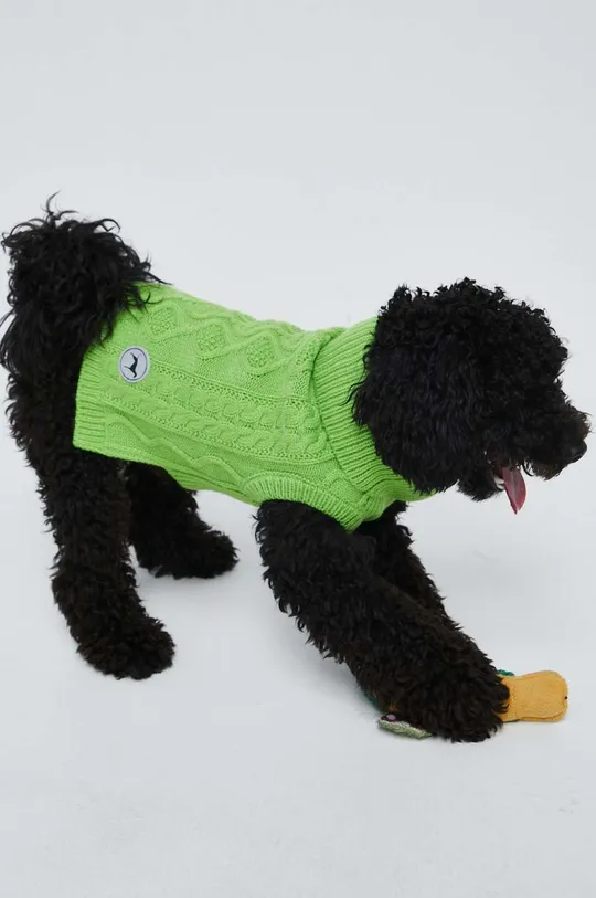 verde Medicine maglione per animali domestici Unisex