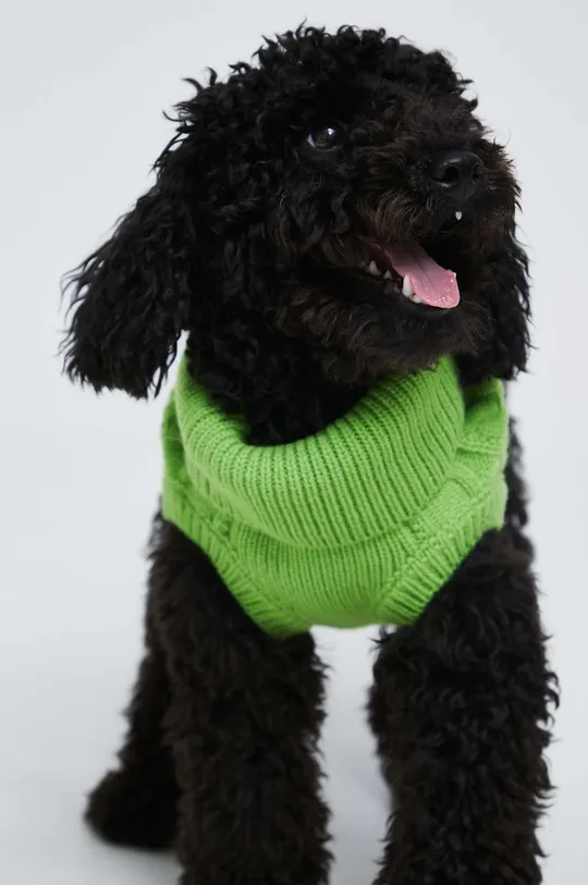 Medicine maglione per animali domestici verde
