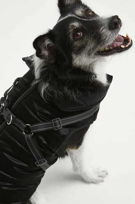 Куртка для собаки Medicine <p>Основний матеріал: 100% Поліамід Підкладка: 100% Поліестер Наповнювач: 100% Поліестер</p>