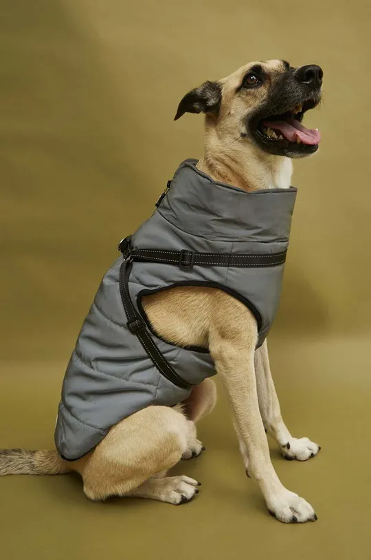 Куртка для собаки Medicine срібний