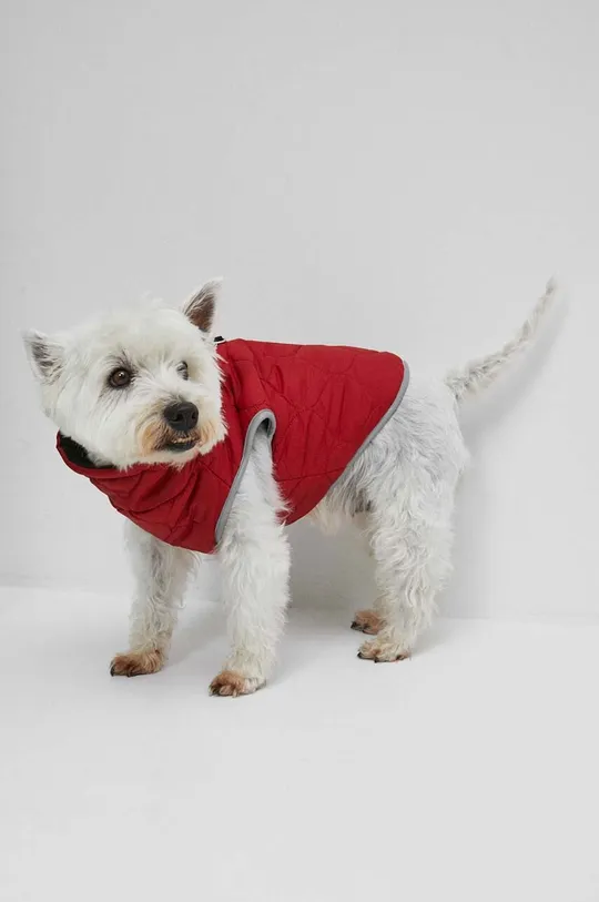 червоний Куртка для собаки Medicine