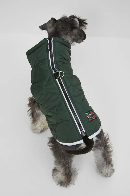 зелений Куртка для собаки Medicine