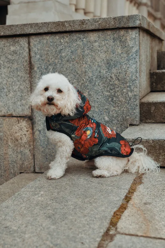 барвистий Куртка для собаки Medicine Жіночий