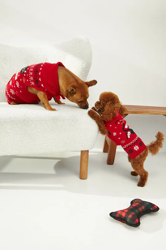 rosso Medicine maglione per animali domestici Donna