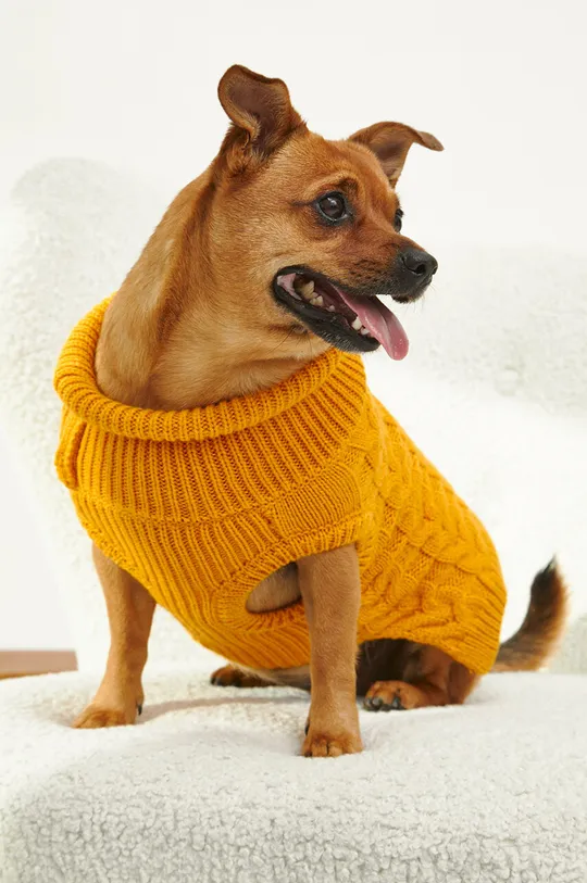 giallo Medicine maglione per animali domestici Donna