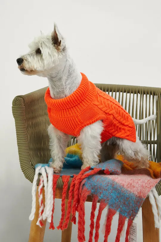 narancssárga Medicine pulóver házi kedvencnek Női