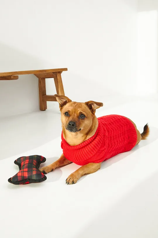 rosso Medicine maglione per animali domestici Donna