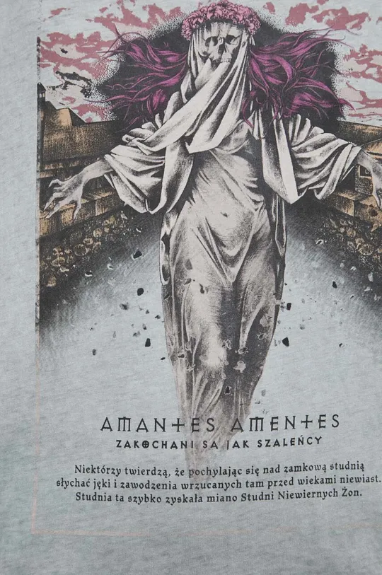 T-shirt bawełniany damski z kolekcji Zamkowe Legendy kolor szary