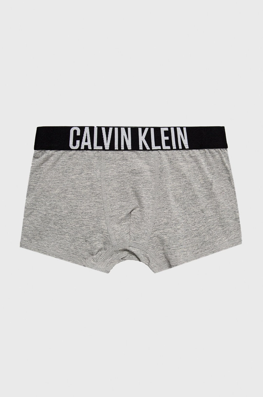 блакитний Calvin Klein Underwear - Дитячі боксери (2-pack)